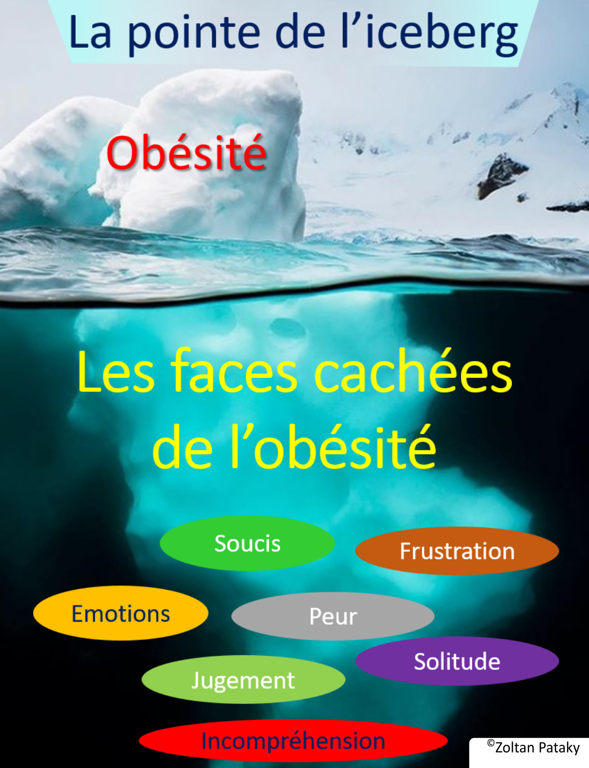 Les faces cachées de l'obésité. Au-delà du poids corporel. 